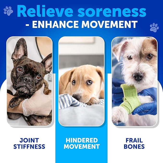 Glucosamine for Dogs Joint Pain Relief - Hemp Hip and Joint Supplement for Dogs - Chews with Chondroitin, MSM, Hemp Oil - Mobility Support - Canine Cartilage Health - 70 Soft Treats - Made in USA