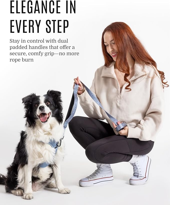 2025 New Edition, Fei & Eve Classic Dog Leash - 6FT, Dual Padded Handles, 360° Swivel Hook, Heavy Duty 210D Nylon - No-Pull Design with Traffic Control Handle - for Small/Medium/Large Dogs, Blue