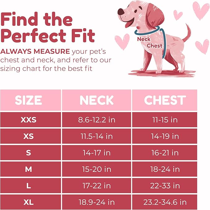 No Pull Neoprene Dog Harness and Leash Set for Small Dog, Neck(11.5–14 in), Adjustable Soft Mesh Design, Blue XS -Lightweight No Choke Fit, Step-in, Escape-Proof Comfort