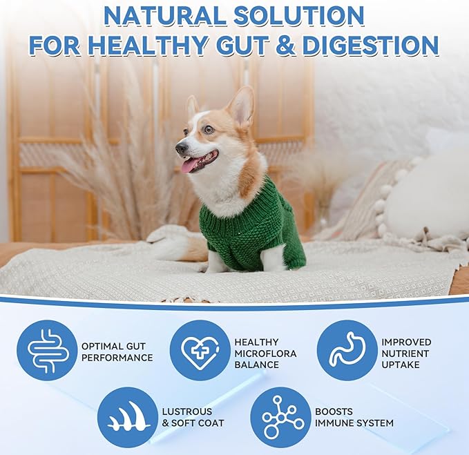200 PCS Probiotics for Dogs - Dog Probiotic Chews for Gut Health, Digestive Support & Itchy Skin Relief Pet Diarrhea Gas Treatment - Probiotics, Digestive Enzymes, Prebiotics, Pumpkin