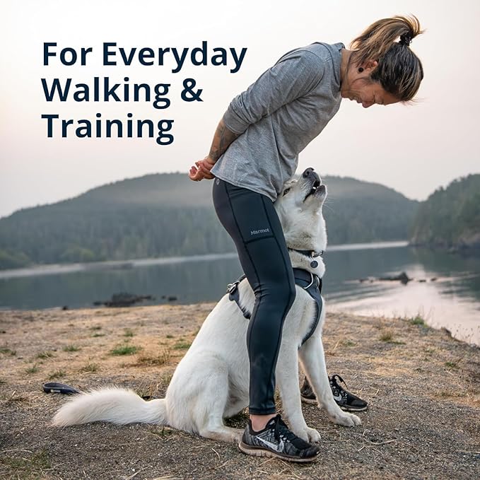 Ruffwear, Front Range Dog Harness, Reflective Soft Padded Everyday Harness with Dual Leash Clips, Adjustable and Lightweight Fit for Training or Walking for All Dogs, Basalt Gray, X-Small