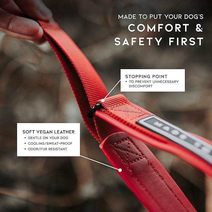 MADE TO ROAM Premium Everyday Dog Collar - Martingale Style No Pull Vegan Leather Collar, Heavy Duty and Lightweight for Small, Medium, Large Dogs (Alaska Daybreak, Size 10)