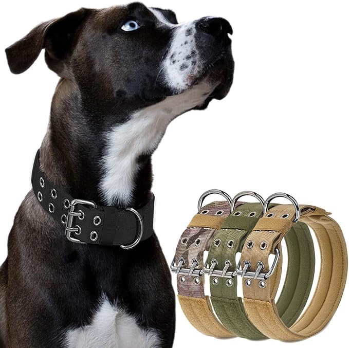 JSXD Tactical Dog Collar,Military Grade Nylon with Soft Padded Lining,1.5 inch Wide,Metal Buckle with 5 Adjustable Points,Heavy Duty Dog Collar for Medium Large Dogs (Black, Medium)