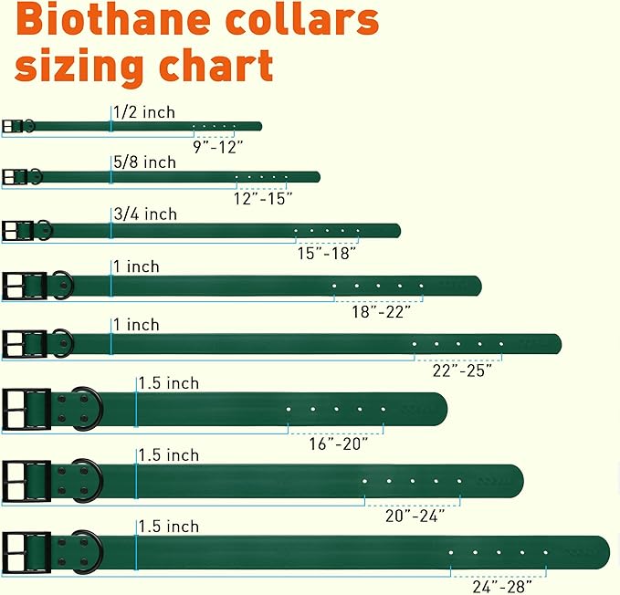 Dogline Biothane Coated Webbing Dog Collar with Black Metal Hardware: Durable Easy-Clean Everyday Collar for Dogs - Comfortable Adjustable Odor-Resistant Pet Collar, W3/4" x L15-18, Hunter Green
