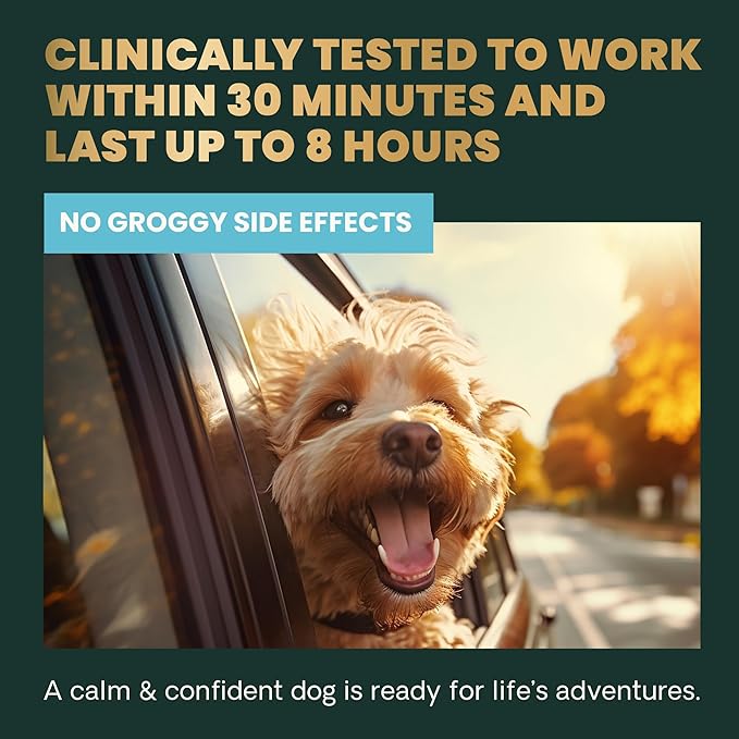 VetriScience Long Lasting Calm & Confident Calming Chews for Dogs, Supplement for Stress Support, Thunderstorms, Fireworks, & Travel, Chicken, Soft Chews, 90 Count - New Look