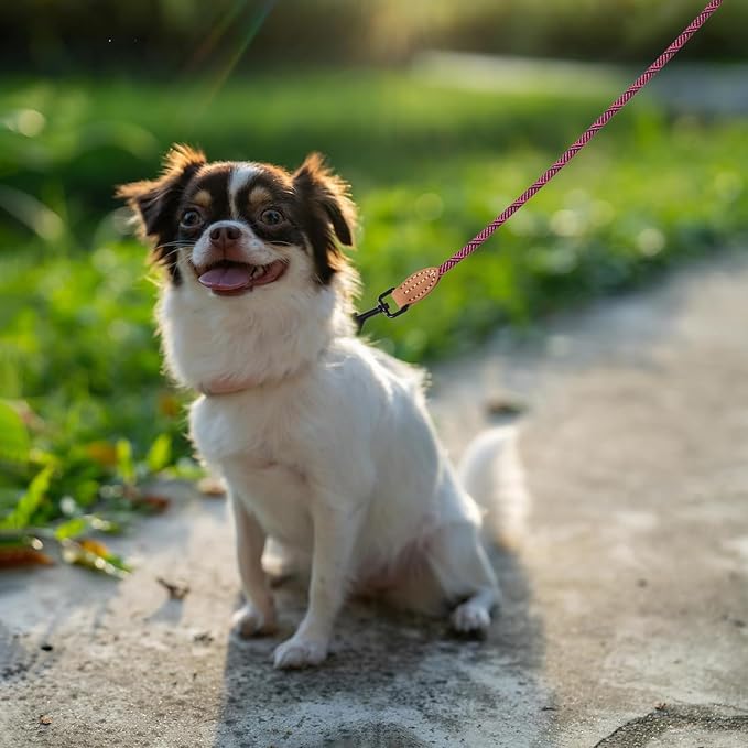 Mile High Life Small Dog Leash, Thin Rope Leash with Genuine Leather Connection and Heavy Duty Metal Clasp, Great for Small Medium Dogs(Pink,48 Inch-1/3)