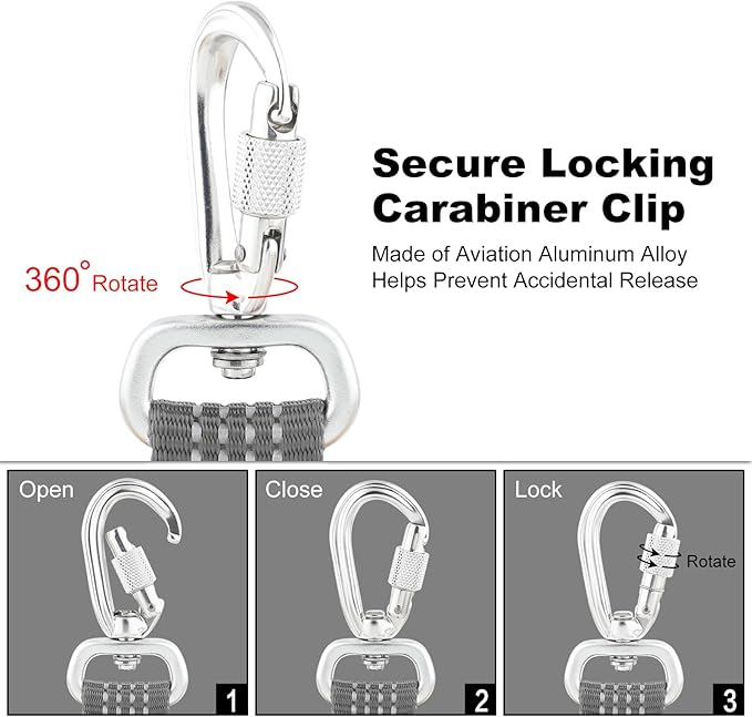 Plutus Pet Heavy Duty Dog Leash with Lockable Aluminum Carabiner, 4/6 Feet Long, Double-Sided Reflective Nylon, Padded Handle, for Puppy, Small, Medium and Large Dogs (Gray, 1" x 6')