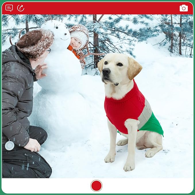 EXPAWLORER Dog Sweater - Large Dogs Fall Sweaters for Girls Boys,Classic Turtleneck Knitwear Dog Clothes for Cold Weather, Cable Knit Dogs Outfit,Coat,Pet Apparel Gift(Red&Green,L)