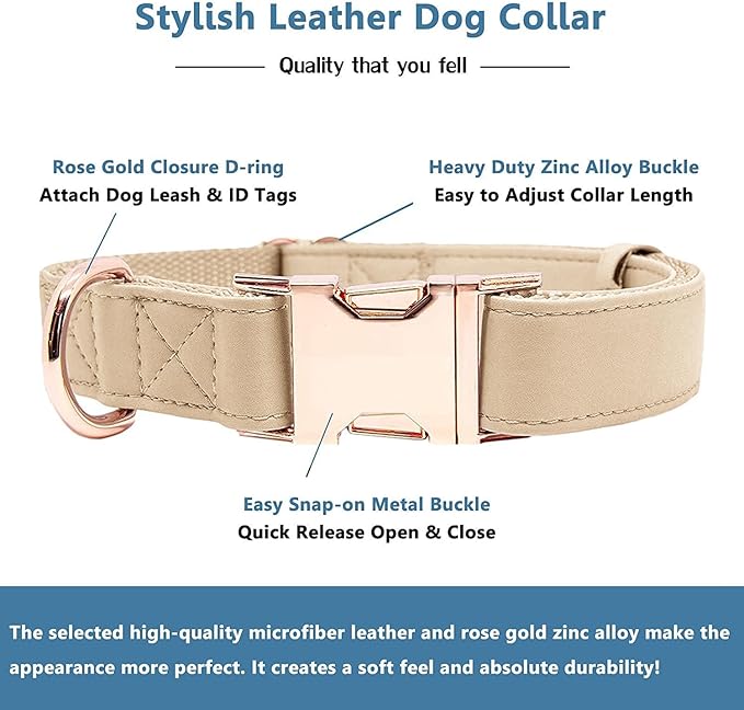 Soft Leather Dog Collar and Leash (6.6') Set - Stylish Rose Gold Heavy Duty Metal Buckle, 4 Adjustable Lengths Leash for Small Medium Large Dogs - Comfortable & Easy to Clean Beige M(13.8"-19.7")