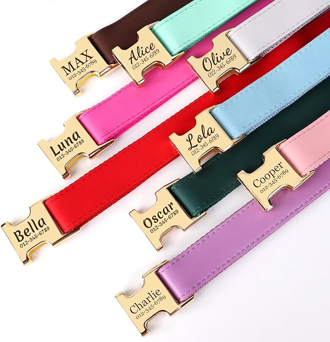 PET ARTIST Personalized Dog Collars, Custom Engraved Dog Collar with Silent Name Tag, Gold Quick Released Buckle & Soft Nylon Padded, Elegant Colors & Matching Leash for Medium Dogs,Blue,M Fit 13-19"