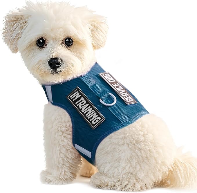 Dog Harness for Puppy – Adjustable Reflective Easy Put On Soft Mesh Vest for Small Dogs with 2 Patches (Prussian Blue,L)