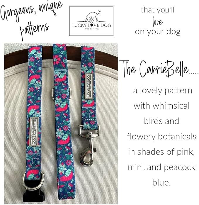 Lucky Love Dog - Easy Click Buckle Dog Collar with Leash Set Combo, Durable & Comfortable for Male & Female Dogs, Pet Collar for Small to Large Dogs, Secure Fit - Carriebelle Combo, Medium