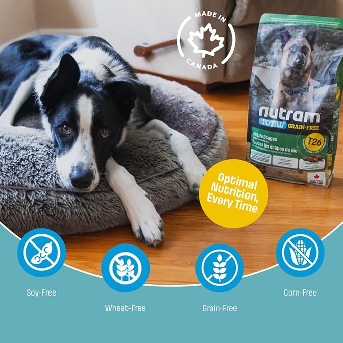 T26 Grain-Free Lamb & Lentils Dry Dog Food | High Protein, Chicken-Free Kibble with Pumpkin, Flaxseed & Salmon Oil | Easily Digestible, Allergy-Friendly for Puppies, Adults & Seniors (25 LBS)