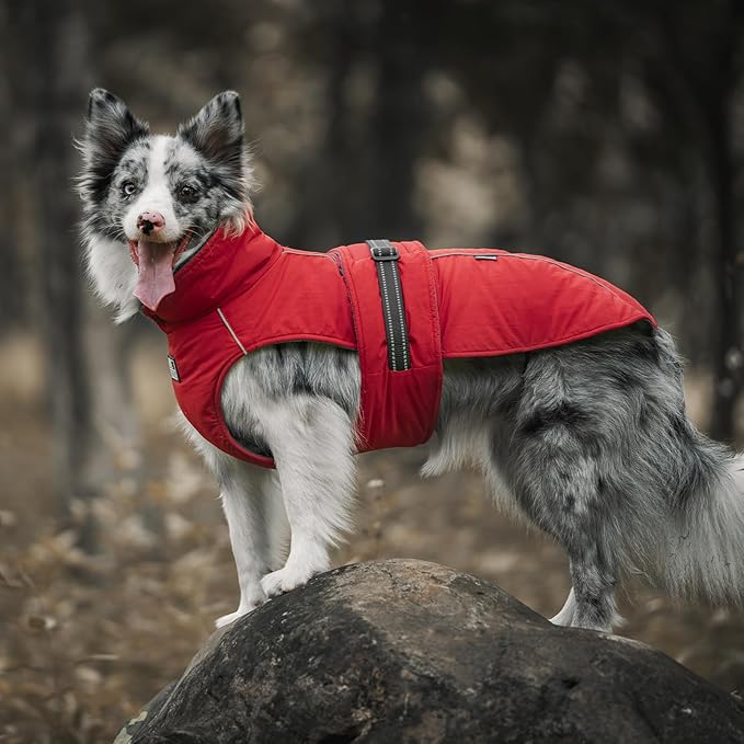 OneTigris Dog Coat Waterproof Dog Jacket with Adjustable Buckle Hook & Loop Windproof Cold Weather Coats for Small Medium Large Dogs (Red, Large)