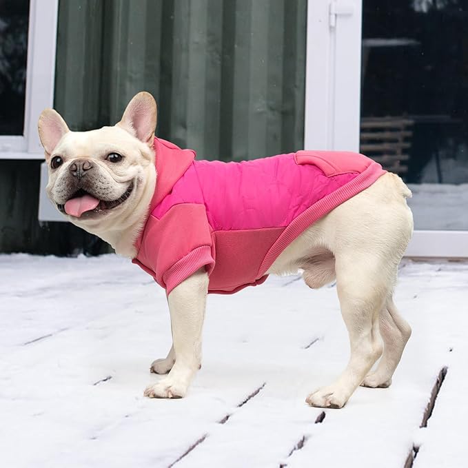 KOOLTAIL Warm Dog Winter Coat for Small Dogs, Waterproof Puppy Jacket with Leash Hole, Cold Weather Pet Vest for Winter, Soft Hoodie Sweater Sweatshirt Clothes for Puppy Cats Girls Boys Rose Red SM