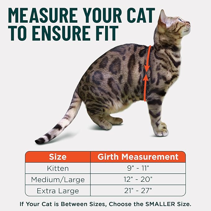 Houdini™ Escape Proof Kitten Harness and Leash Set by OutdoorBengal – Red, Small Cat Harness for Walking