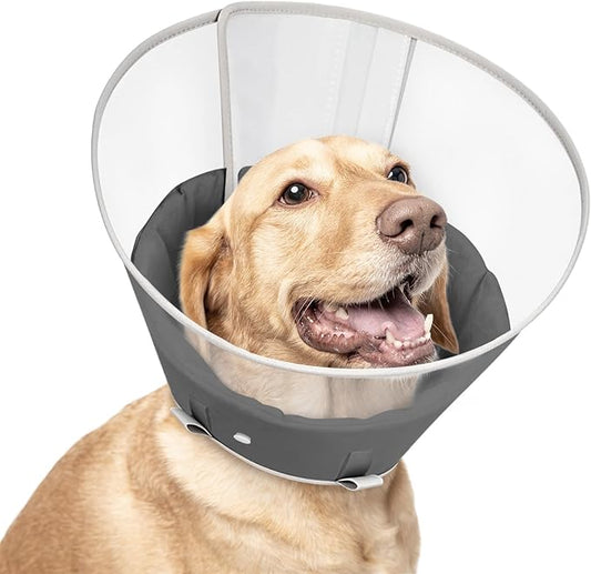 Dog Cone Collar with Snap-on Detachable Soft Liner, Lightweight Transparent Elizabethan Alternative to Stop Licking, for Spay Neuter Surgery Recovery, for Medium Large Small Dogs (Light Black,L)