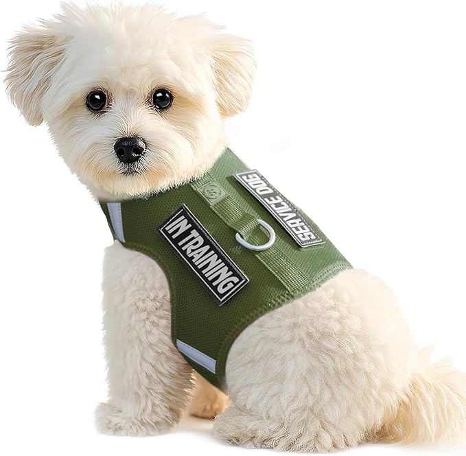 Dog Harness for Puppy – Adjustable Reflective Easy Put On Soft Mesh Vest for Small Dogs with 2 Patches (Misty Green,S)