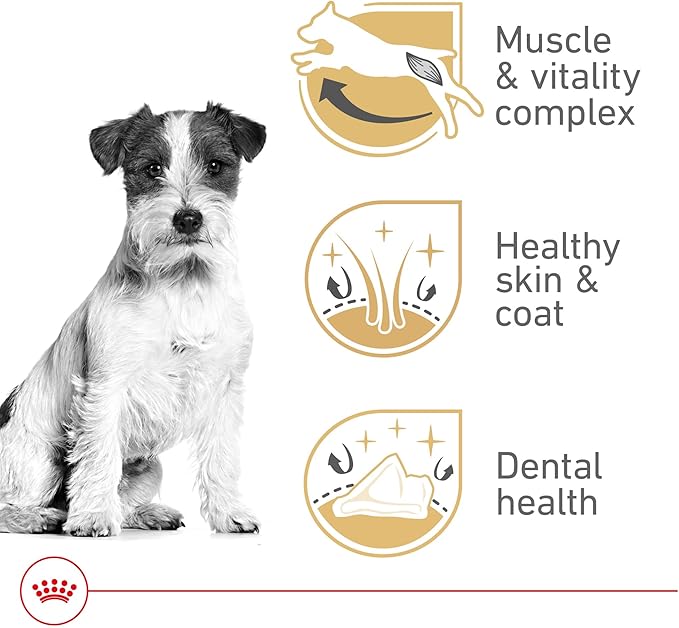 Royal Canin Breed Health Nutrition Jack Russell Terrier Adult Dry Dog Food, 10 lb Bag
