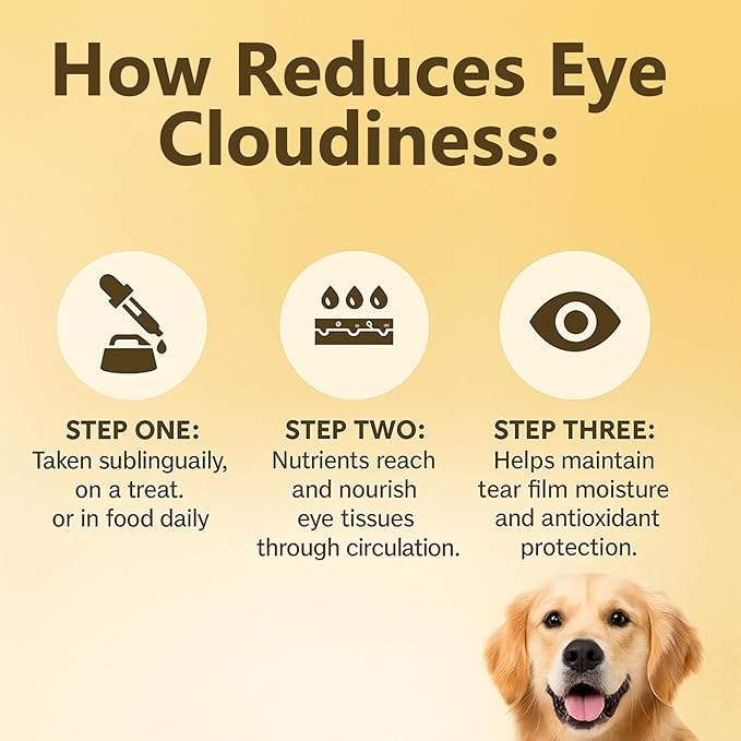 Advanced Vision Formula for Dogs – Liquid Eye & Vision Support Supplement – Supports Clear Vision & Reduces Cloudy Eyes and Cataracts in Dogs – with Lutein & Zeaxanthin – 2oz (60ml) Oral Drops