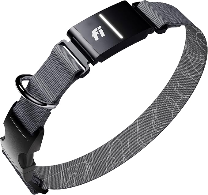 New Fi Series 3+ Smart Dog Tracker Collar [12 Month Membership Included] GPS Tracker for Dogs with Health & Behavior Monitoring, Escape Alerts, Waterproof, LED, Apple Watch Compatible (Gray, X-Large)