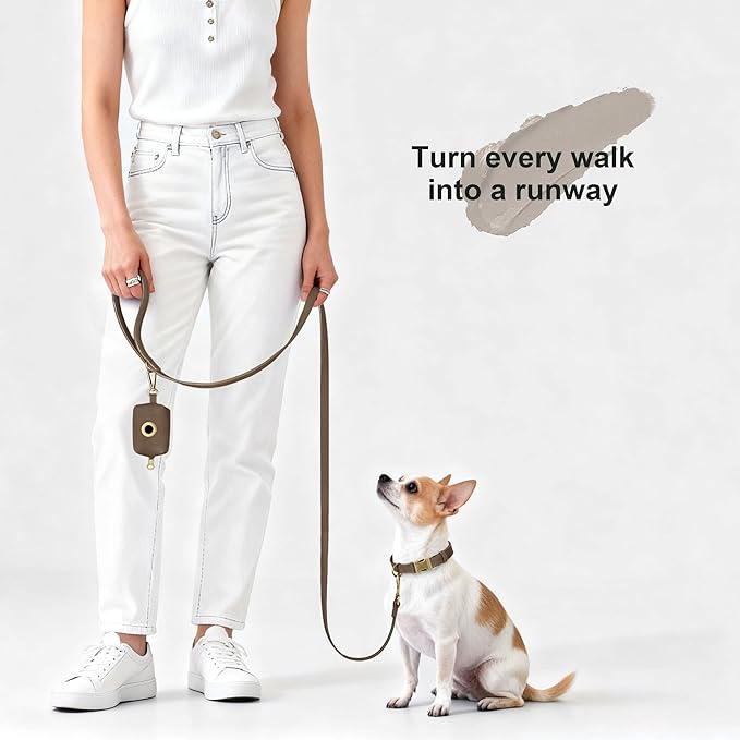 Didog Soft PU Leather Dog Collar, Stylish Quick Released Dog Collars for Small Dogs, Easy Clean Adjustable Pet Collar for Daily Walking, Brown, S Fit 10-16" Neck