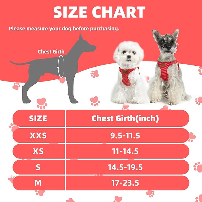 PUPTECK Dog Harness and Leash Set Small Sized, Step-in Cute Puppy Harness, Soft Lightweight Padded Vest, Escape Proof No Pull Pet Harnesses Easy for Walking, Red, M