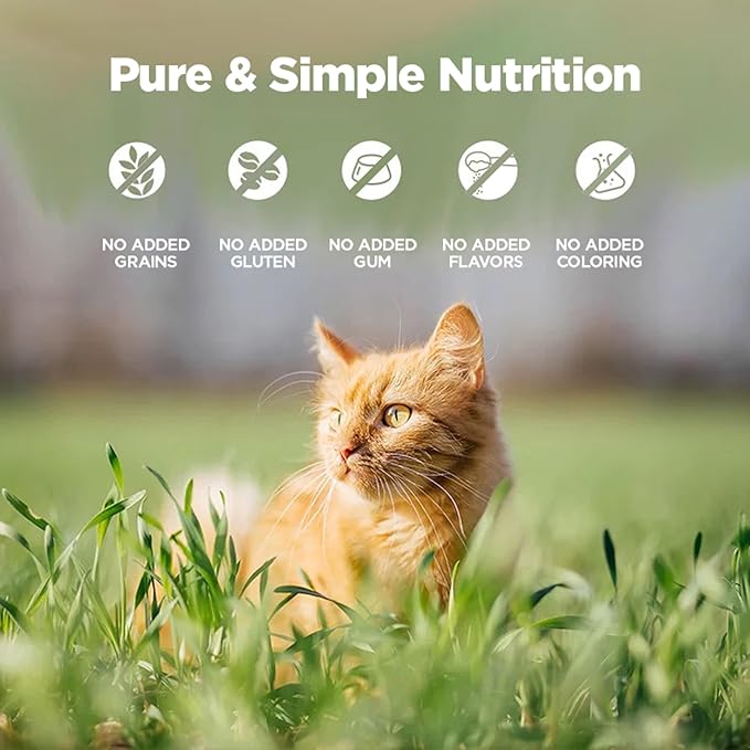 ZEAL New Zealand Wet Cat Food – High Protein, Grain-Free with Superfoods (Chicken & Salmon, 6oz Can, 12-Pack)