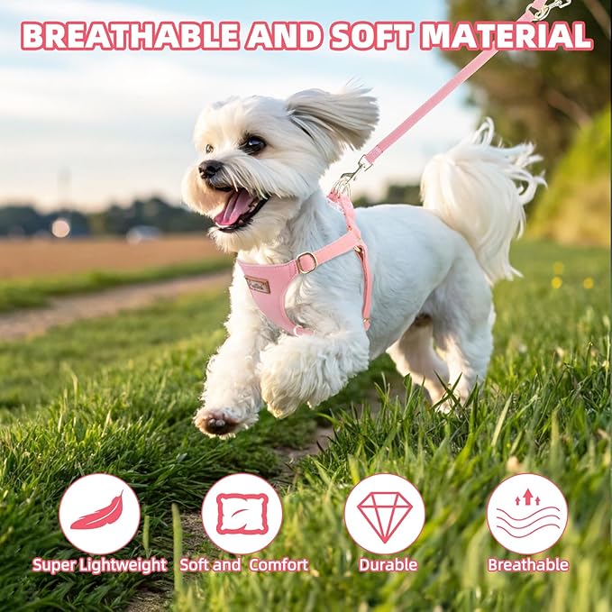 PUPTECK Dog Harness and Leash Set Small Sized, Step-in Cute Puppy Harness, Soft Lightweight Padded Vest, Escape Proof No Pull Pet Harnesses Easy for Walking, Pink, XS