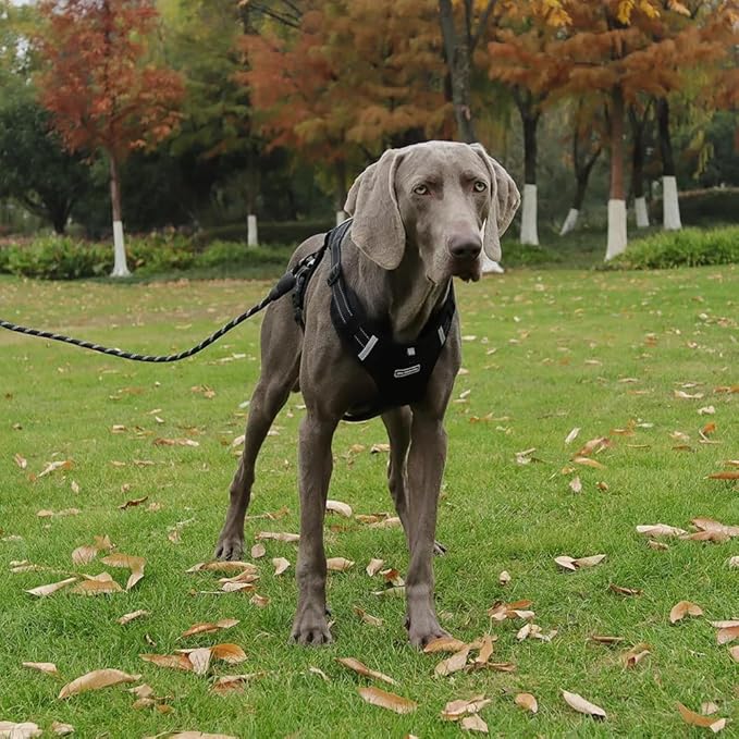 Dog Harness No Pull Adjustable Reflective,for Medium and Large Small Dog with Leash 59.06in (Black, S)