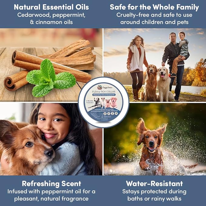 Flea and Tick Prevention for Dogs and Cats - All Natural 8-Month Flea Collar for Dogs, Effective Dog Flea & Tick Control, Chemical-Free Flea Collars, No Pesticides