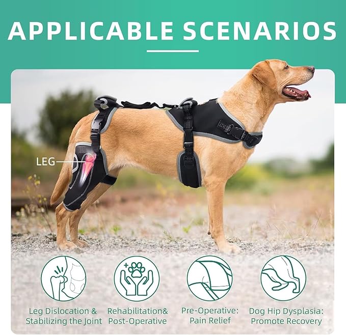 Dog Knee Brace for ACL/CCL Injuries,Torn Ligament,Pain Relief,Joint Warmth,Luxating Patella - Rear Leg Support,Black,Upgraded,Right Legs,Customized