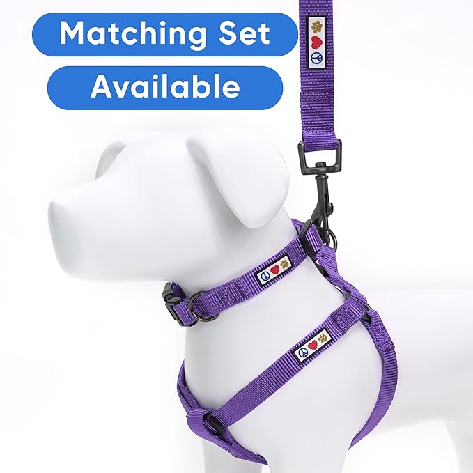 Pawtitas Adjustable Collar for Extra Small Dogs - Heavy Duty, Waterproof, Quick-Release Buckle - Purple