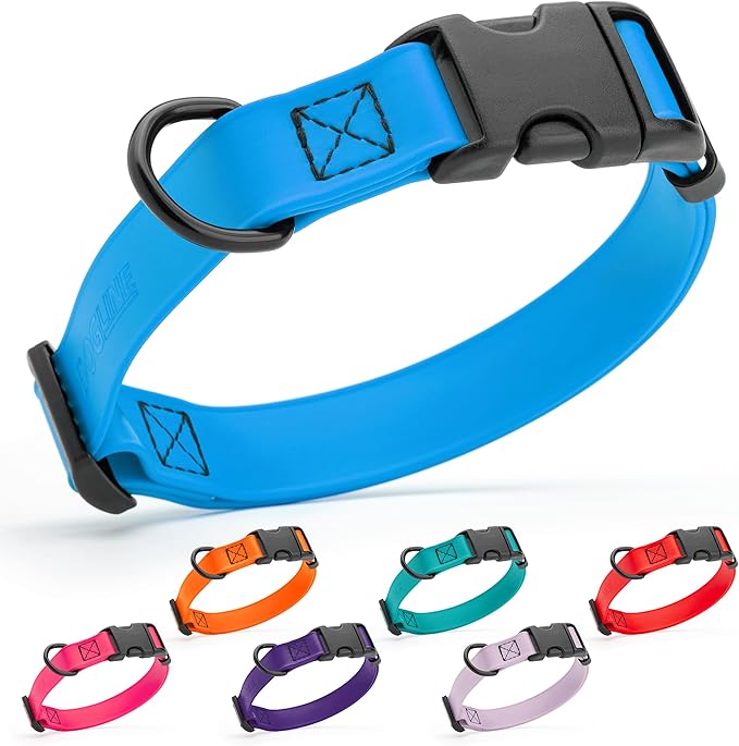 Dogline Durable Biothane Waterproof Collar for Dogs - Odor-Resistant Coated Webbing, Quick-Release Design, Comfortable Adjustable Fit, 1" W by 15-25" L, Cerulean Blue