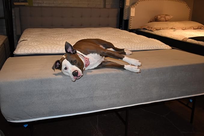 Dog Bed Mattress Extender for King Beds - Customizable Freestanding Bedside Pet Cosleeper for Dogs & Cats - Multiple Height & Color Options - Extension of Bedding for Pets (16" Height Dog Bed, White)