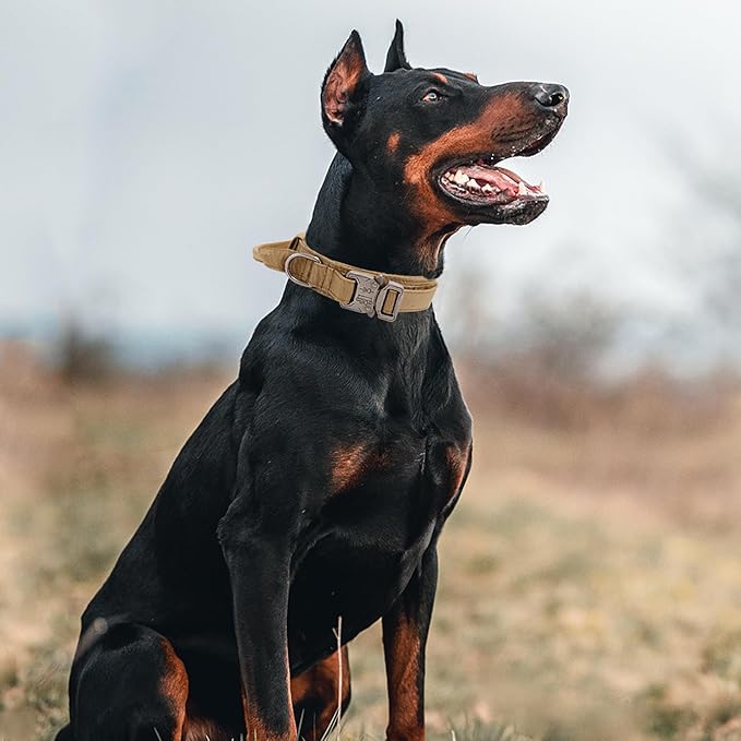 Tactical Dog Collar with Handle - Military Adjustable Dog Training Collar Soft Nylon and Heavy Duty Metal Buckle for Medium Large Dogs - with Patch (Brown, X-Large)