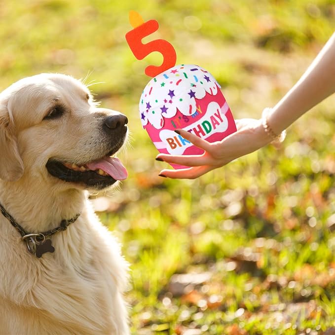 Dog Birthday Cake Toy Accessories for Girl Boy Gifts, Squeaky Plush Toy for Dog Birthday Party Decor Favor for Large, Medium and Small Dogs(5th,Pink)