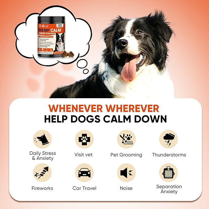 Hemp Calming Chews for Dogs-Dog Calming Chews Anxiety Relief Bites with Melatonin HMP for Dog Relaxing Aid-Car Anxiety Fireworks and Thunder Stress Relief Treats Supplements for Puppies Small All Dogs