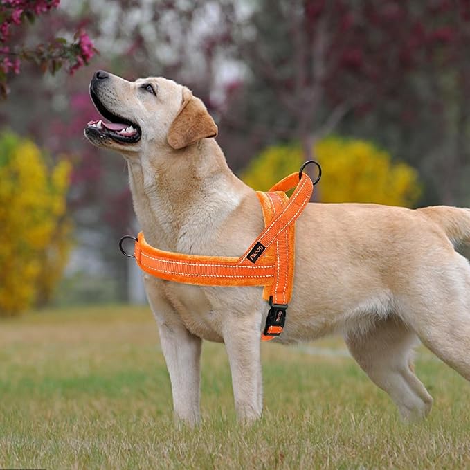 Didog Soft Flannel Padded Dog Vest Harness, No Pull/Quick Fit Reflective Dog Strap Harness, Easy for Training Walking (S:Chest 18-22", Orange)