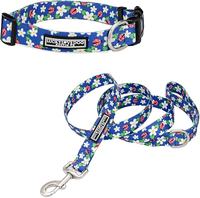 Lucky Love Dog - Easy Click Buckle Dog Collar with Leash Set Combo, Durable & Comfortable for Male & Female Dogs, Pet Collar for Small to Large Dogs, Secure Fit - Lilian Combo, Small