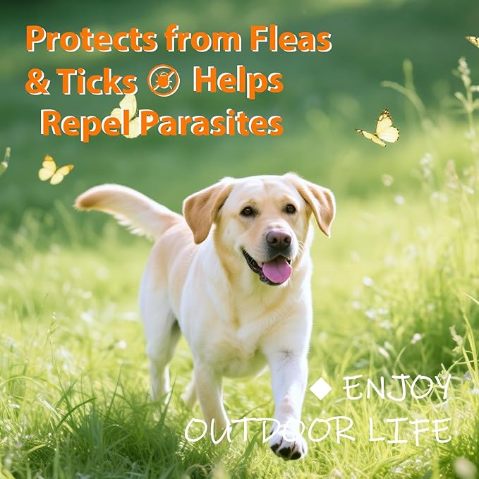 Flea and Tick Prevention for Dogs Chewables, Natural Dog Flea and Tick Treatment Chewable Supplement, 60 Chews (Pack of 1)
