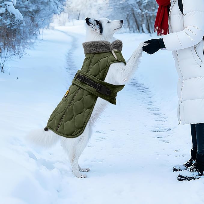 Dog Coat Winter, Waterproof Quilted Dog Jacket for Cold Weather, Reflective Adjustable Puppy Winter Coat, Warm Turtle-Neck Pet Fleece Snow Jacket for XX-Large Dogs, NewGreen XXL