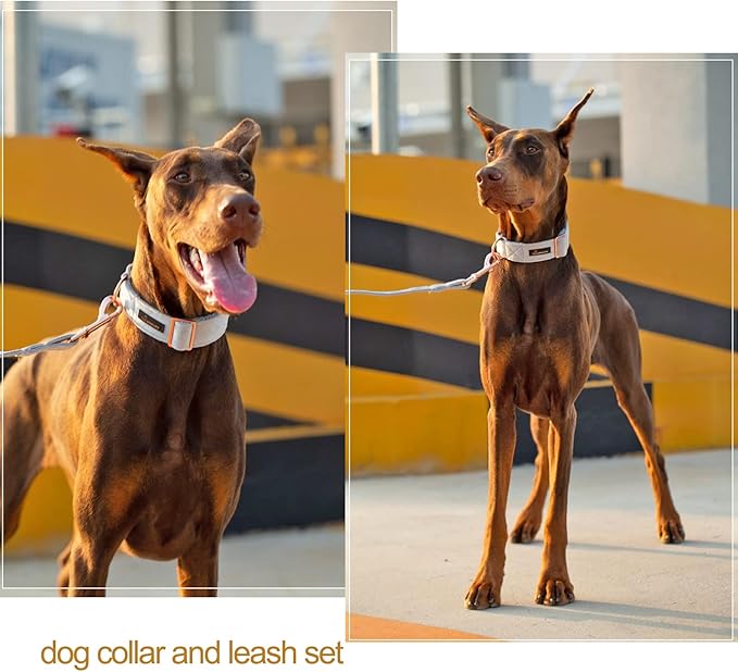 ARING PET Velvet Dog Collar and Leash Set, Soft Dog Collar and Leash, Adjustable Collars for Dogs
