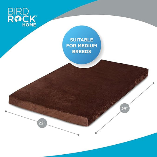 BIRDROCK HOME Memory 3" Memory Dog Bed | Ultra Soft Plush Pet Bed | Pet Mat (34 x 22, Brown)