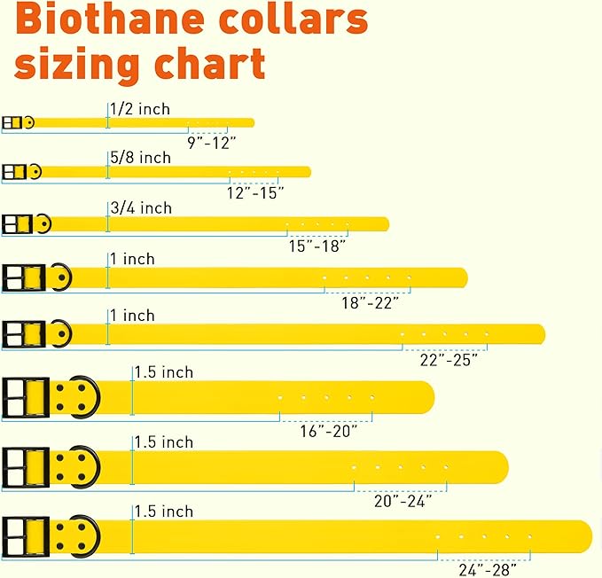 Dogline Biothane Coated Webbing Dog Collar with Black Metal Hardware: Durable Easy-Clean Everyday Collar for Dogs - Comfortable Adjustable Odor-Resistant Pet Collar, W1 x L22-25", Lemon Yellow