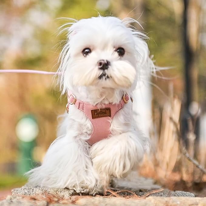 PUPTECK Dog Harness and Leash Set Small Sized, Step-in Cute Puppy Harness, Soft Lightweight Padded Vest, Escape Proof No Pull Pet Harnesses Easy for Walking, Pink, M