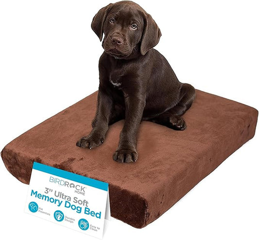BIRDROCK HOME Memory 3" Memory Dog Bed | Ultra Soft Plush Pet Bed | Pet Mat (22 x 16, Brown)