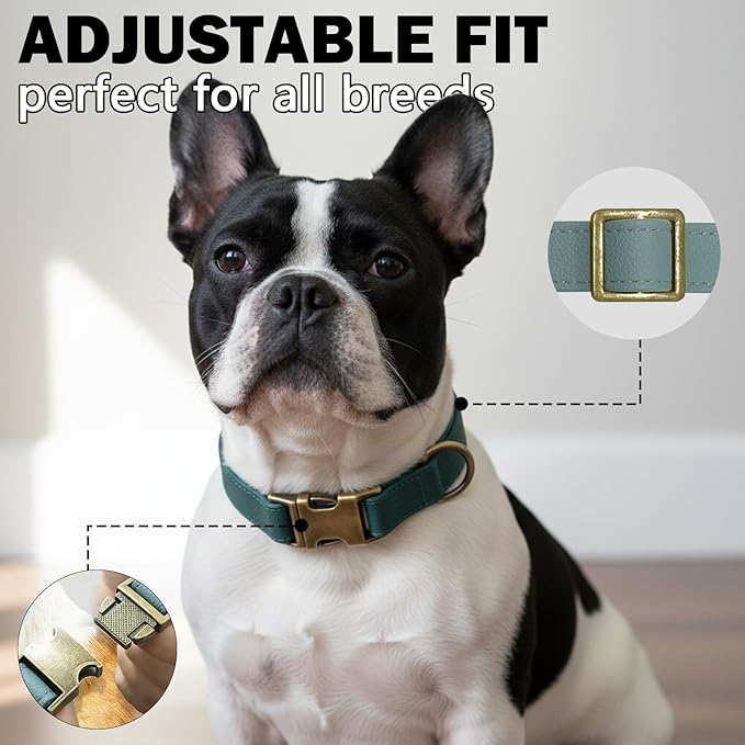 Silicone Dog Collar, Soft Flexible Leather-Look Dog Collars, Waterproof & Odor-Proof Puppy Collar for Small Dogs, Durable Thick Classic Adjustable Pet Collar (Green, Large (14.5-24" Neck))