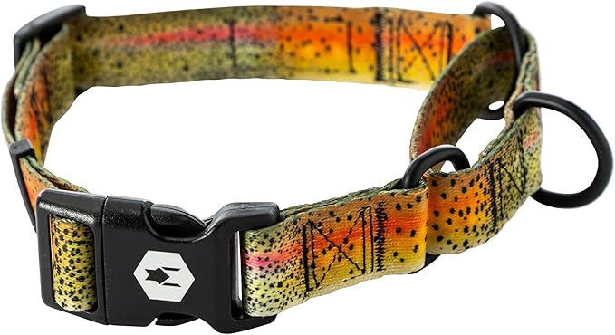 Wolfgang Heavy Duty Martingale Dog Collar with Quick Release Nylon Buckle for Walking & Training, CutBow Print, Extra Large