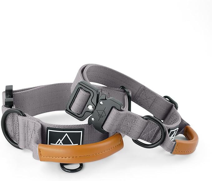 Made to Roam Premium Explorer Control Collar - Adjustable Heavy Duty Nylon Dog Collar with Quick-Release Metal Buckle and Leather Handle (Montana Moonrise, Size 3, Control)